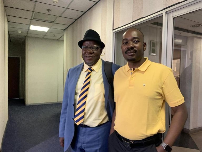 Tendai Biti Endorses Chamisa As CCC Presidential Candidate