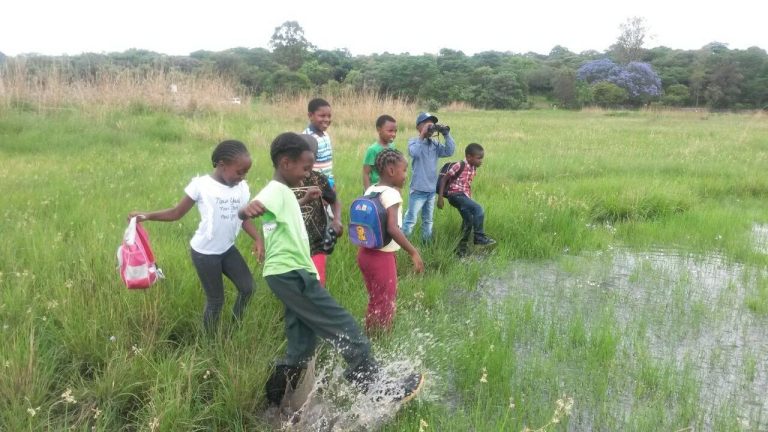 Residents’ Trust Urges Council To Preserve Wetlands