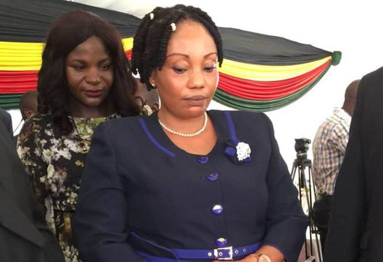 ERC Criticises ZEC For Refusing To Release Voters’ Roll