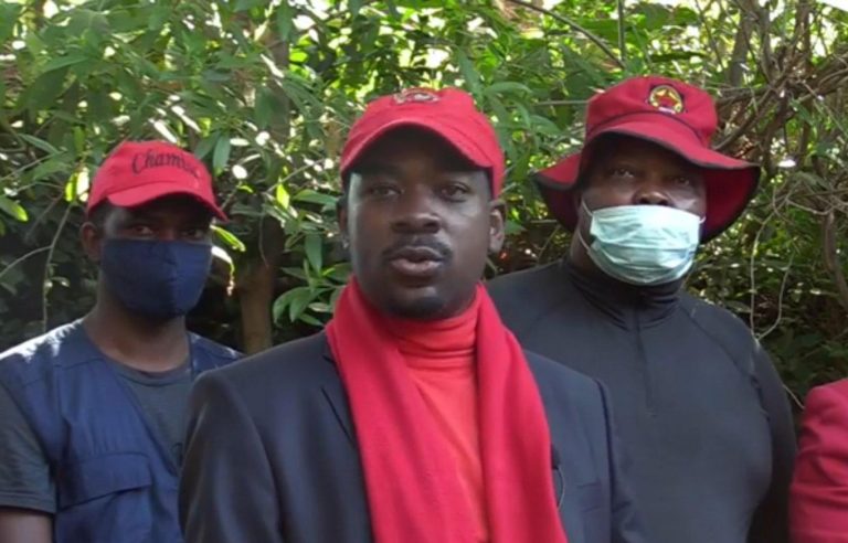 Electoral Act Gives Mnangagwa Too Much Power – Chamisa
