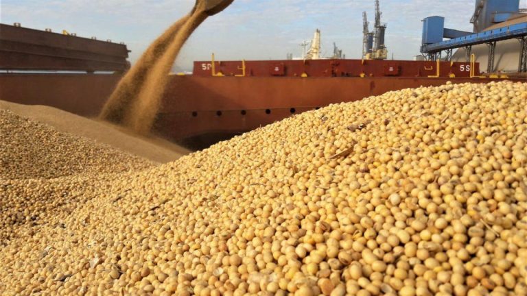 Govt Announces Producer Prices For Grains, Soya Beans