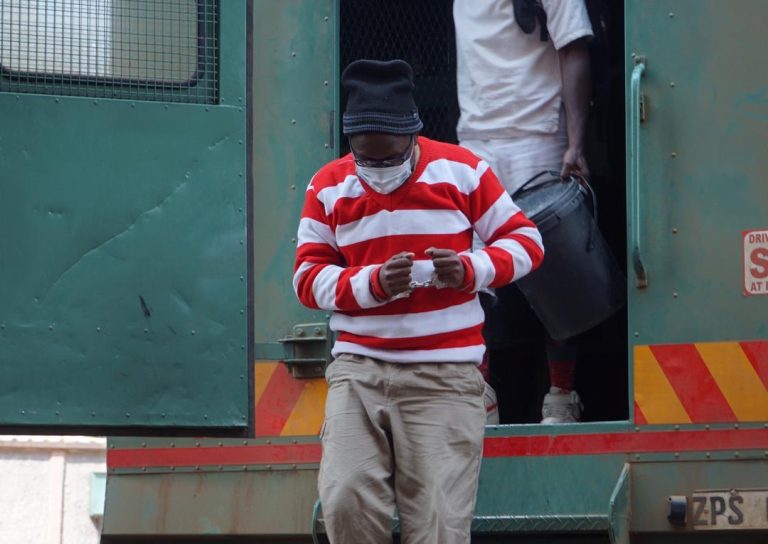 Ngarivhume Being Persecuted For Fighting Corruption – Chin’ono