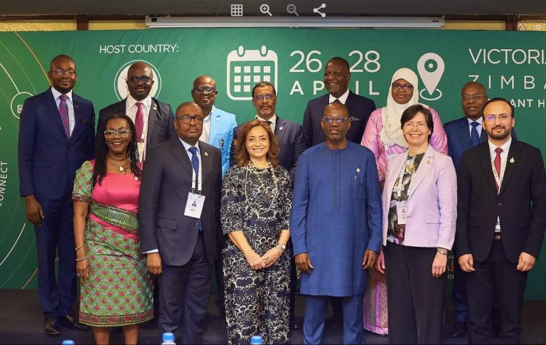 Estonian senior official attends Transform Africa Summit in Zimbabwe