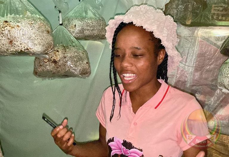 How mushroom farming venture saved a Harare family during Covid-19 pandemic