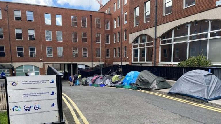 Ireland-based Zimbabwean asylum seekers: ‘It’s hard sleeping outside, it’s cold, it’s wet. It’s no life’