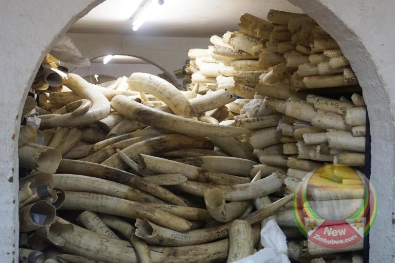 Vic Falls duo arrested for illegal possession of ivory