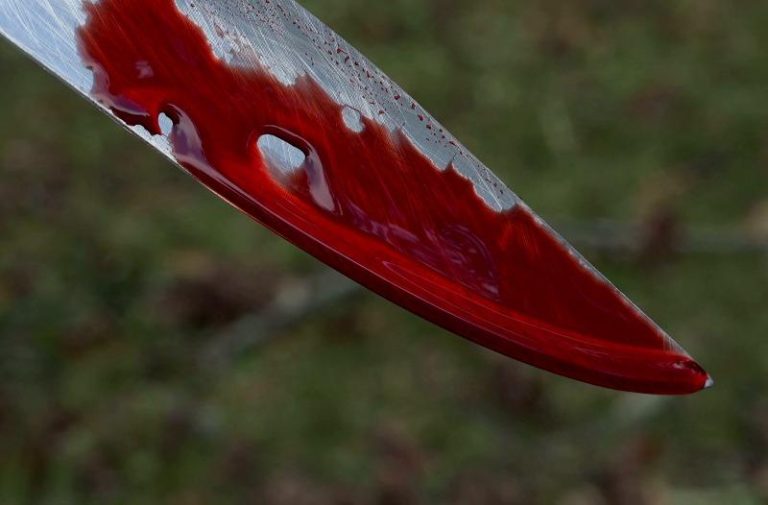 CCC activist attacked for wearing Chamisa T-shirt, stabs mobster in retaliation
