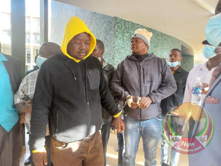 Opposition legislators Sikhala, Sithole incitement trial kicks off