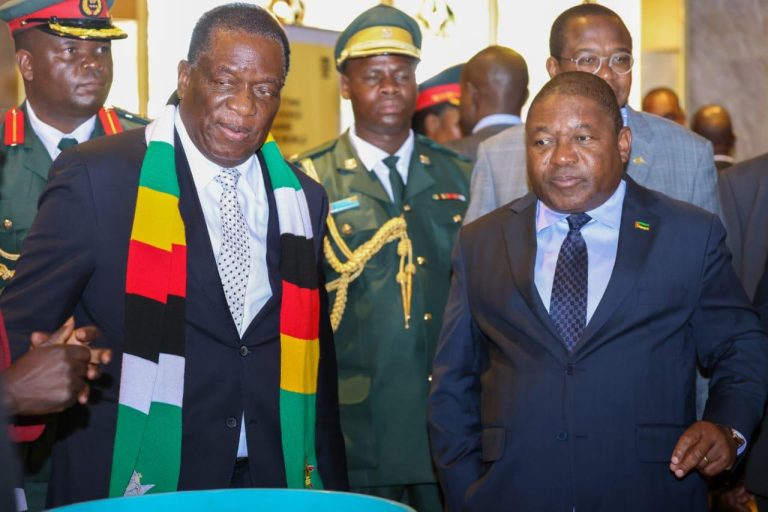 Mnangagwa pushes for increased trade with Mozambique