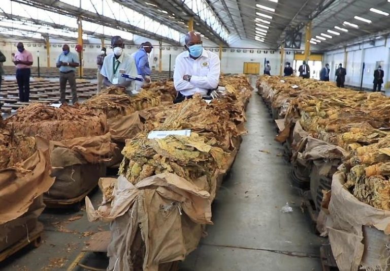 Tobacco workers petition Mthuli Ncube over tax brackets