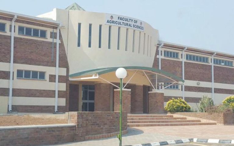 ZANU PF Youths Block Victoria Falls Council From Selling Stands