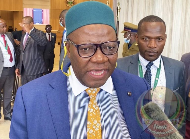 Zim being run by kleptomaniac Govt – Biti