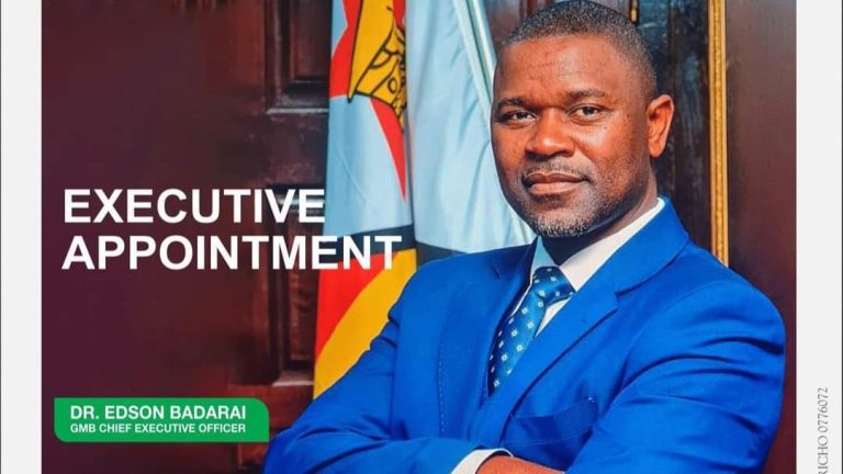 Edson Badarai Appointed GMB Substantive CEO