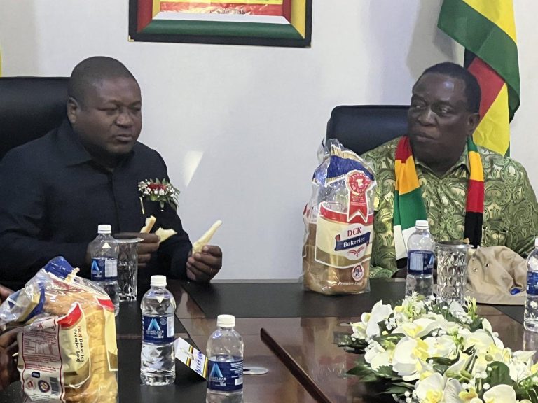 Draconian Decrees On Economics Will Result In Empty Shop Shelves, Chin'ono Warns Govt