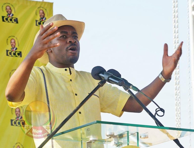 Give us a chance to fix this mess – says Chamisa as price increases pile pressure on ordinary citizens