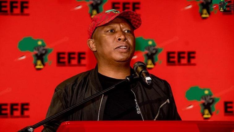 malema-calls-for-a-government-of-national-unity-in-south-africa-zimbabwe