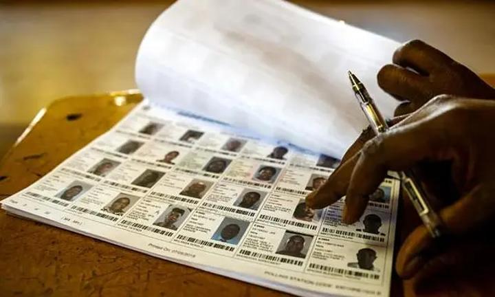 Names vanish from voters roll