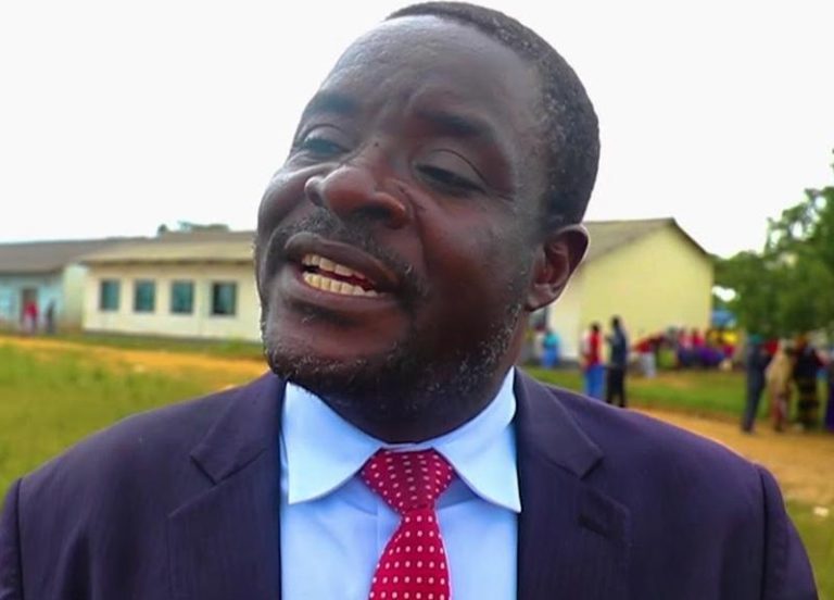 US meddling in Zim politics – says Mnangagwa spokesman; govt to summon Chargé d’Affaires