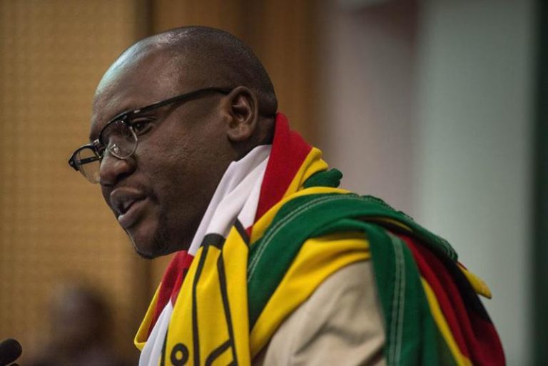 Very sad day for Zimbabwe – says #ThisFlag pastor as Patriotic bill sails through Parliament