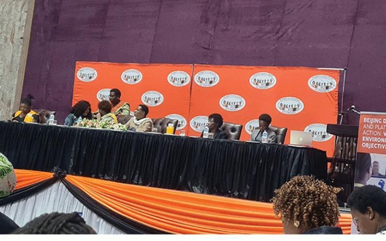 ‘Govt sidelining women on climate issues’