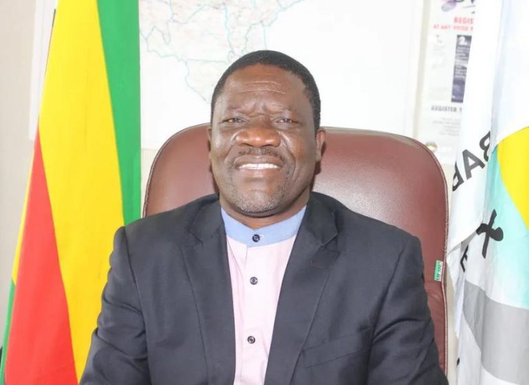 Voters roll for Zim elections to be accessible end of June, says electoral body
