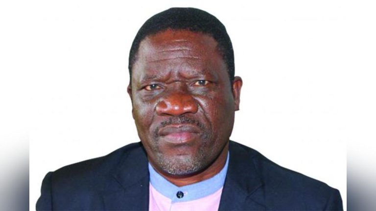 Voters roll for Zim elections to be accessible end of June, says electoral body