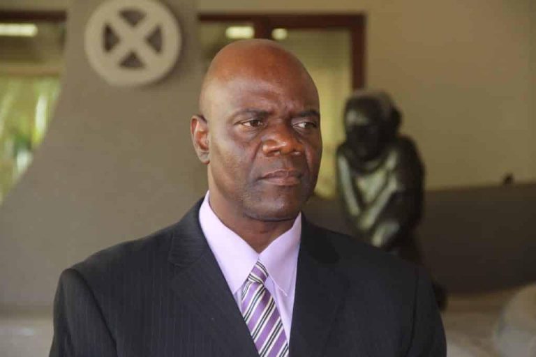ED a crude tribalist: Mutambara