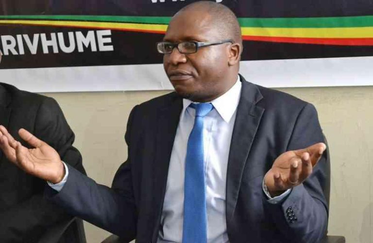 Court reserves judgment on Ngarivhume appeal