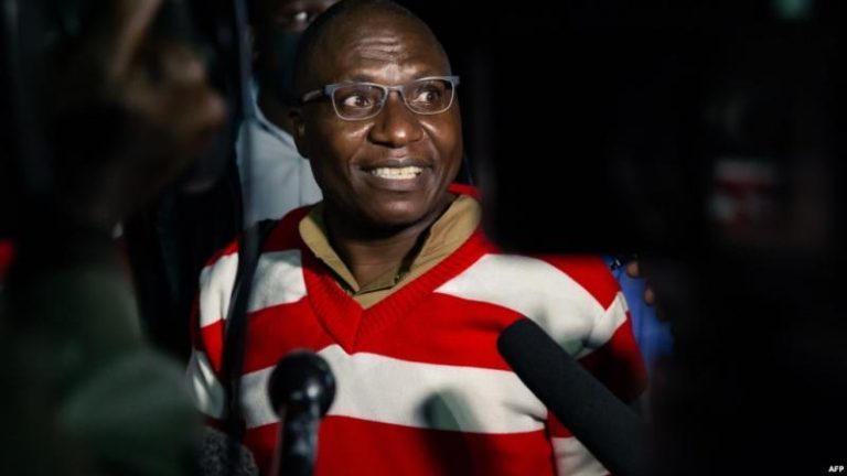 Opposition leader Ngarivhume appeals against four year jail sentence; High Court reserves judgement