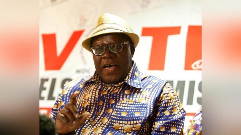 Opposition MP Biti on the offensive, uses derogatory ‘vasina mabvi’ term in reference to white competitor Rusty Markham