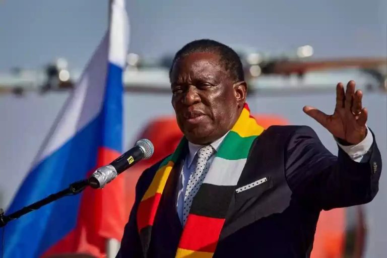 Zanu PF brand at risk