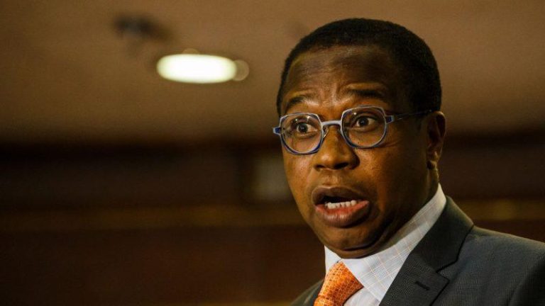 Mthuli Ncube only implementing proposed economic measures years later – says economist; predicts total ZWL collapse
