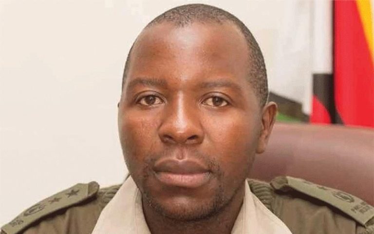 Stray lion wreaks havoc in Filabusi