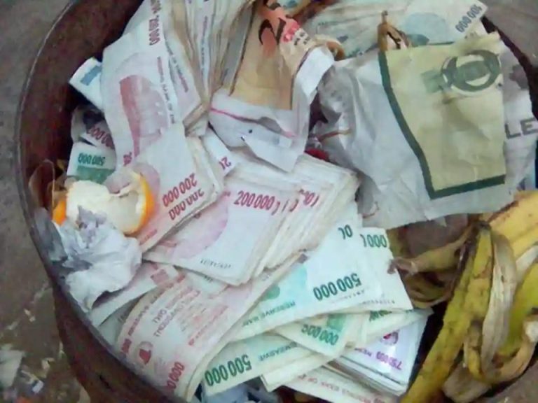 Even Madmen Now Rejecting Zimbabwe Dollar - Zivhu