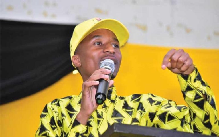 Prepare for Chamisa victory: Siziba