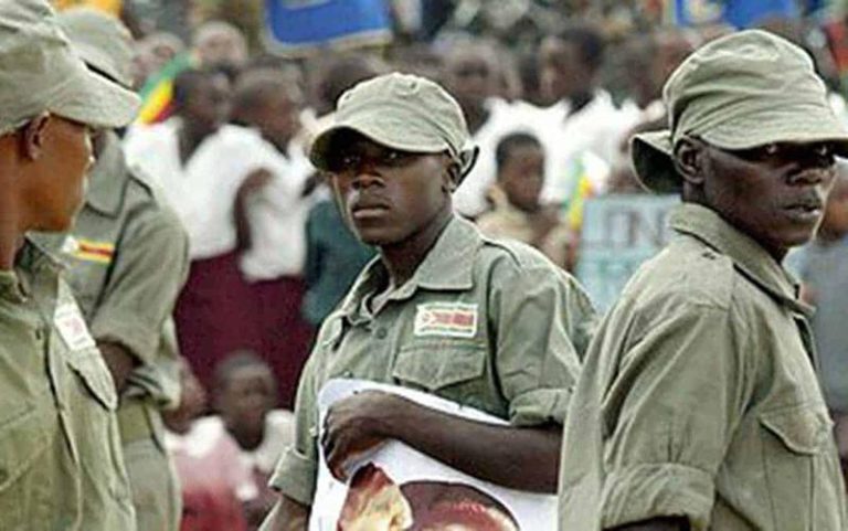 ‘Green Bombers’ threaten to beat up ‘unpatriotic’ CIO, police officers plotting Zanu PF electoral defeat
