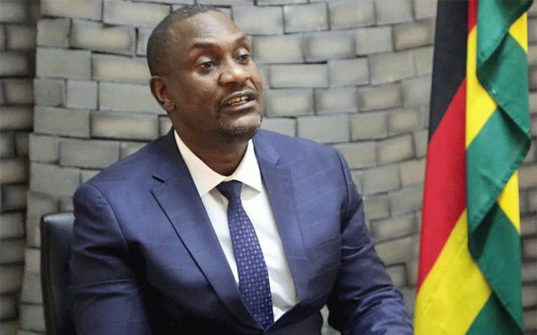 Vote ED, Zanu PF chef orders civil servants
