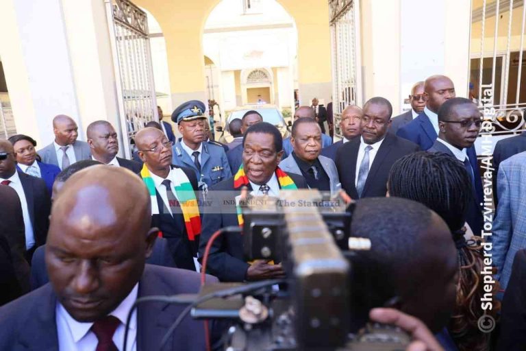 ‘Nomination fee extremely reasonable…don’t trust those who cannot afford’- Ziyambi
