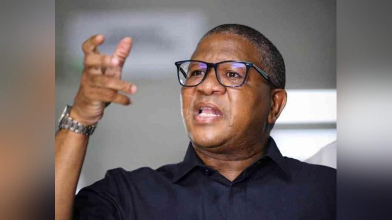 Illegal immigrants straining SA’s social services: ANC