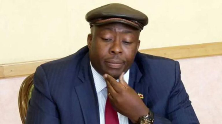 Court defers Kasukuwere presidential bid challenge