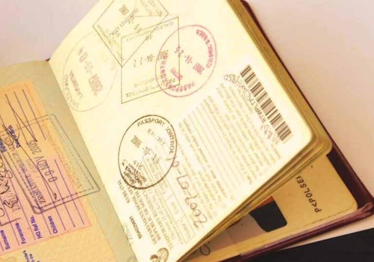 What the two judgments mean for ZEP holders, home affairs dept and Motsoaledi