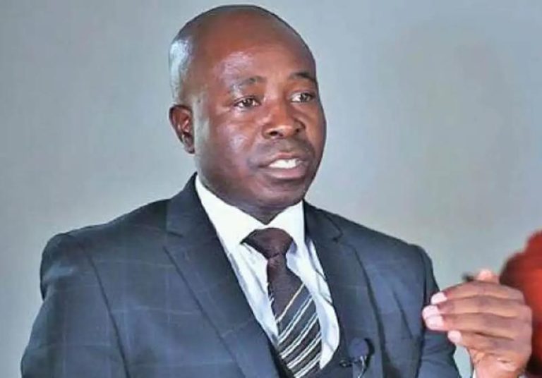 Zimbabwean businesses welcome export of more products to China