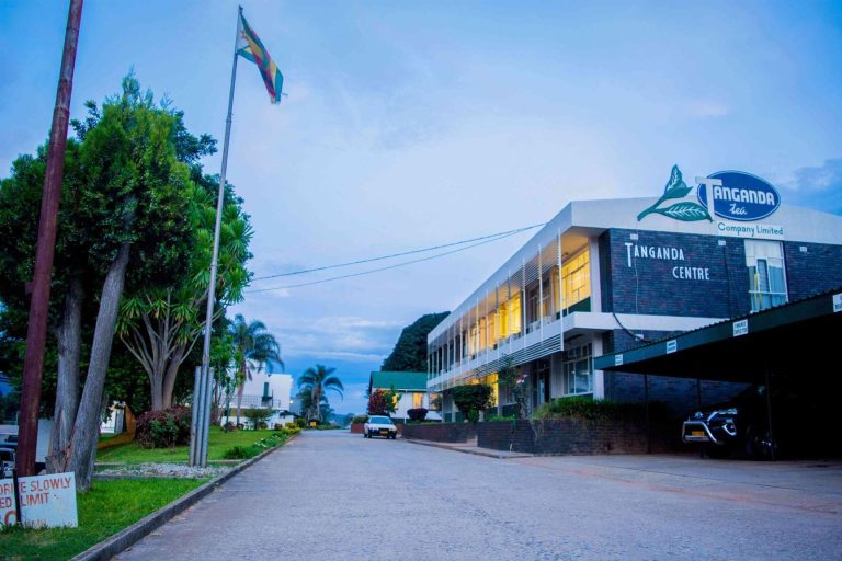 Tanganda remains optimistic in ‘difficult’ terrain