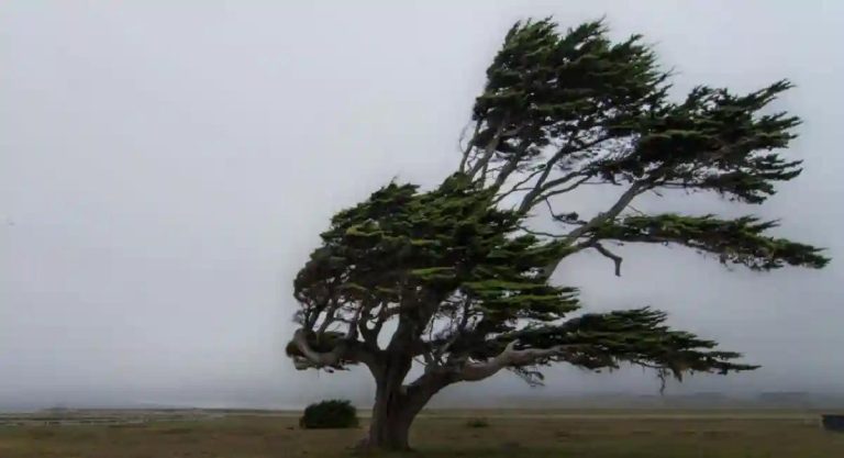 Zimbabwe Weather Report And Forecast From July 04-06, 2023
