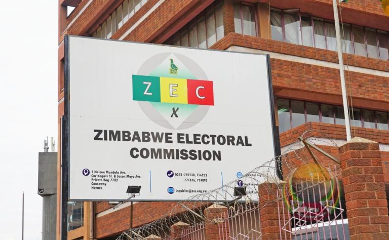 ZEC says registered voters population for August 23 polls above 6 million; voters roll to be available to candidates before July 20