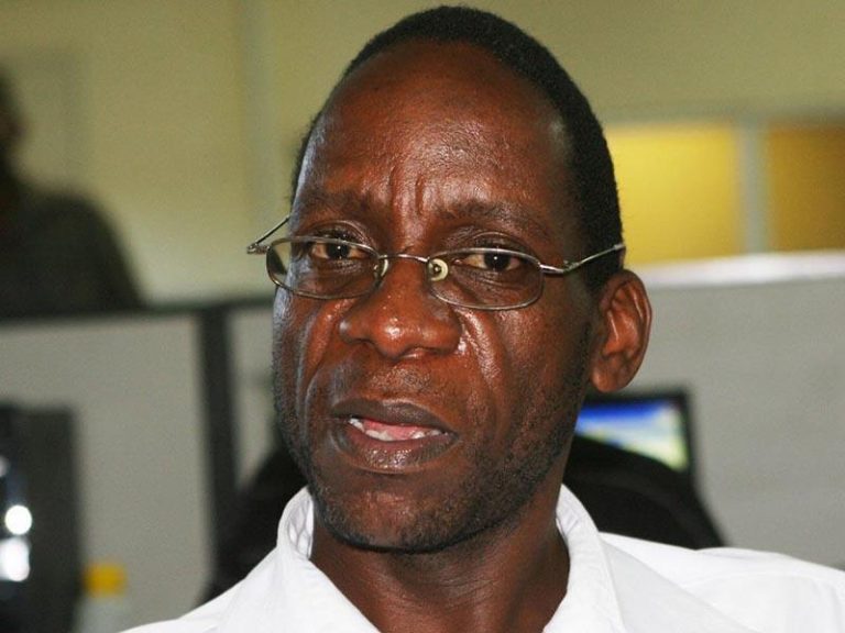 Crowds scrambling for freebies at Zanu PF rallies a sign of govt failure — Madhuku