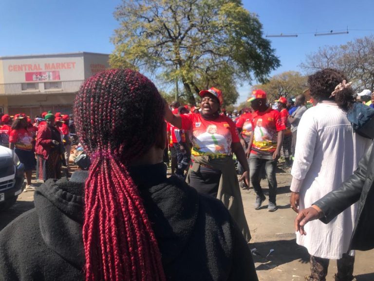 Zanu PF supporters assault journalists in Bulawayo, force them to delete footage of skirmishes