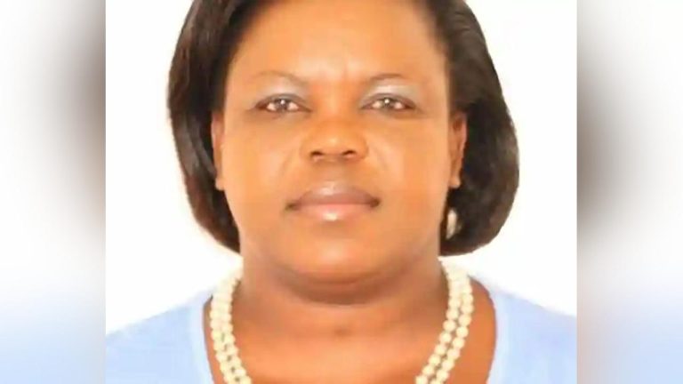 ZANU PF Members Assault Journalist