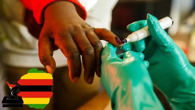 No Free Transport For SA-Based Zimbabweans To Travel Home For Elections, Says Consulate