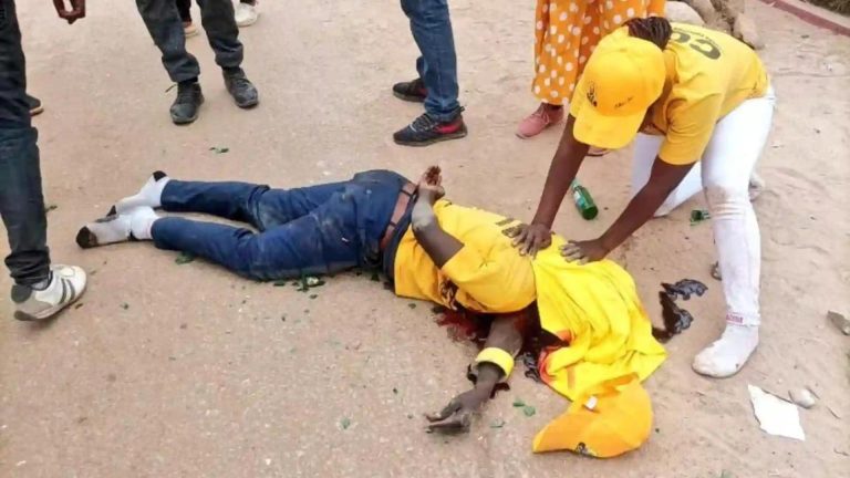 Ten Suspects Arrested Over Murder Of CCC Supporter: ZRP